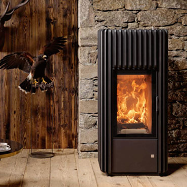 Ray Xtra - Stufa a legna design con ampia visione del fuoco Austroflamm