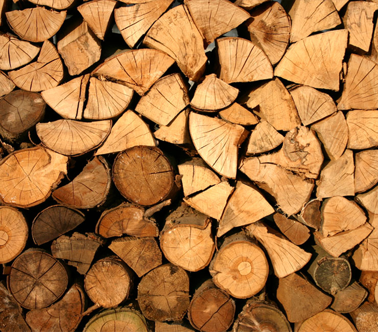 Caldaie a biomassa legna