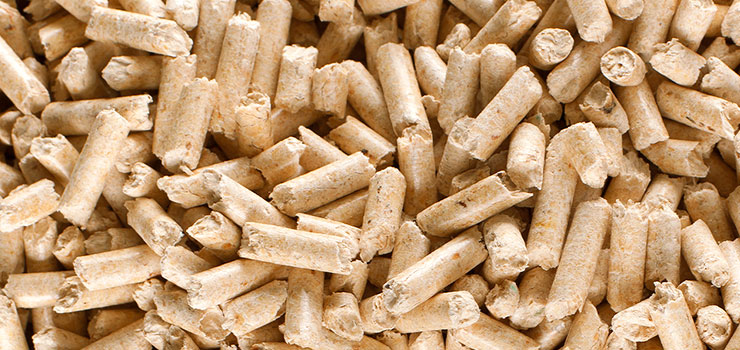 Caldaie a policombustibile biomassa pellet